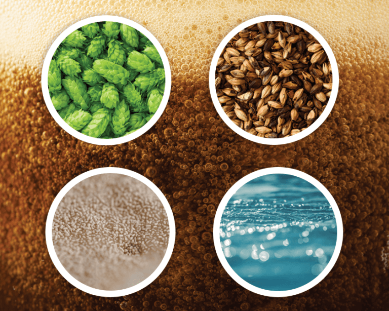 The 4 main beer ingredients explained